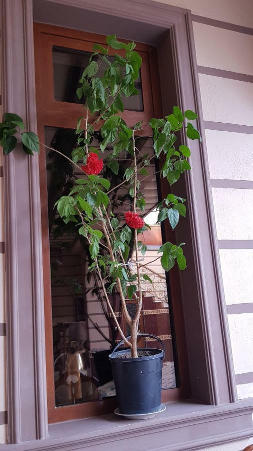 B&B Giza Registan 사마르칸트 외부 사진